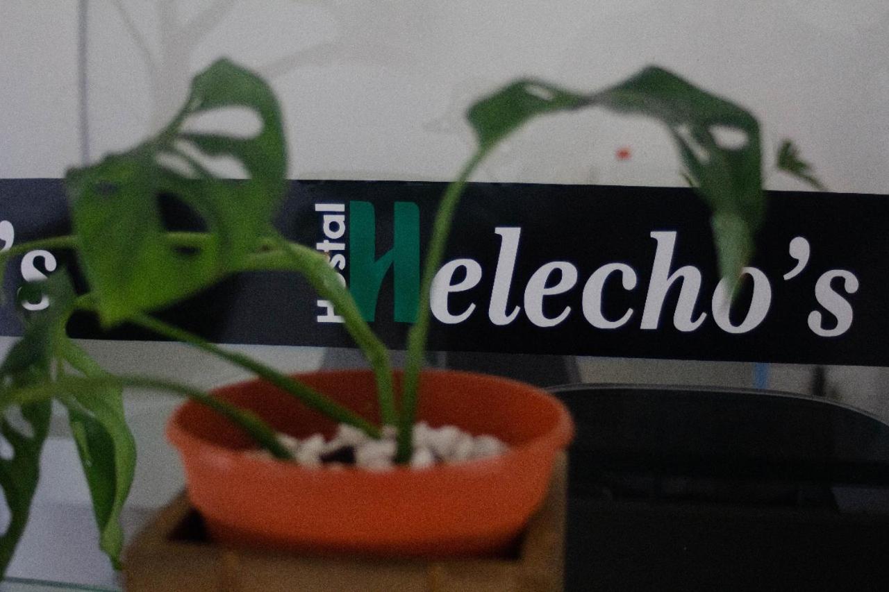 Helecho'S Hostal Hostel Encarnación Екстериор снимка