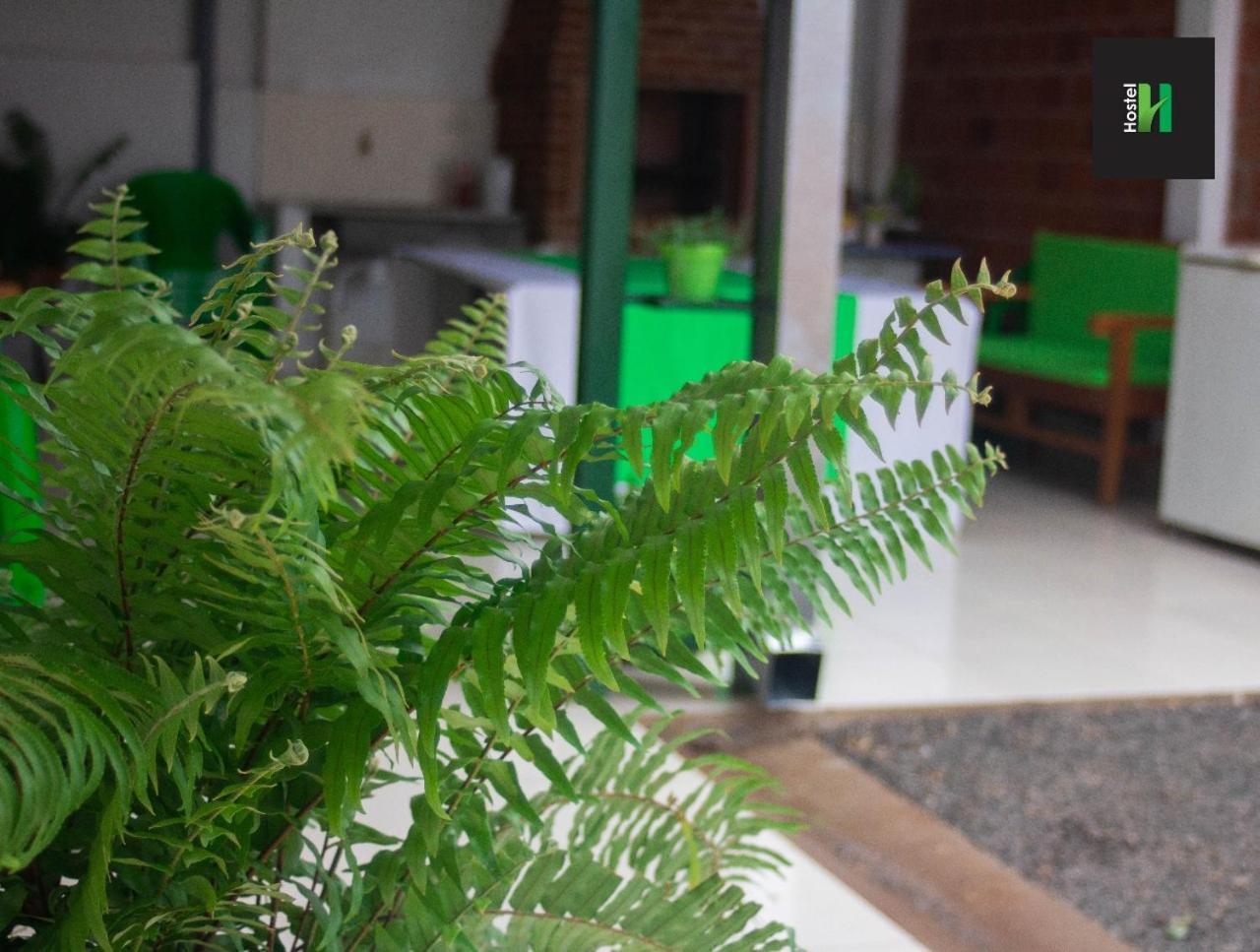 Helecho'S Hostal Hostel Encarnación Екстериор снимка
