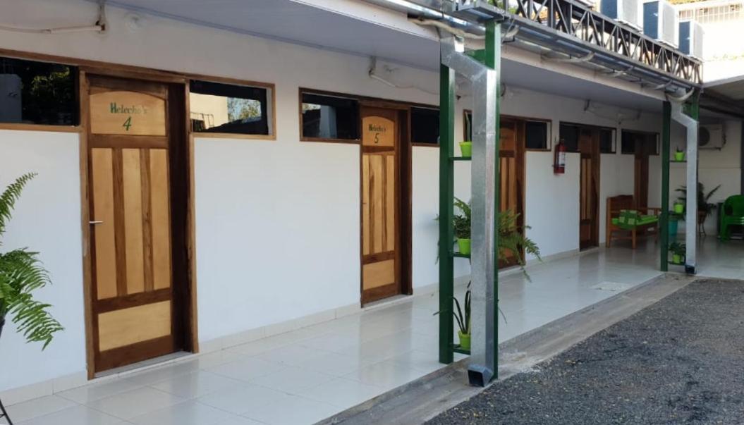 Helecho'S Hostal Hostel Encarnación Екстериор снимка